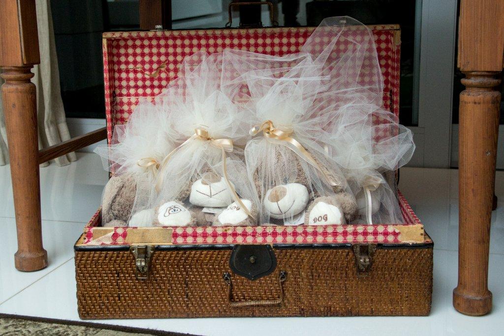 convite para pajens- um cachorro de pelucia