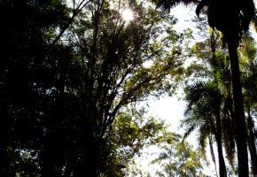 Casamento Lilian & Fernando