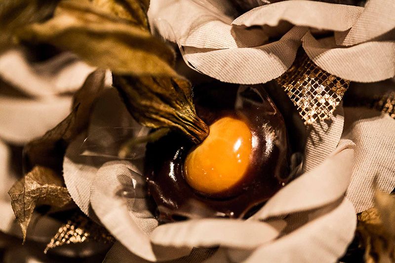 1141Paula&Andre_fescott-