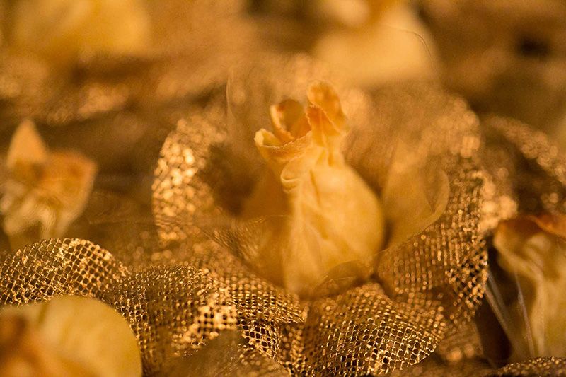 1154Paula&Andre_fescott-