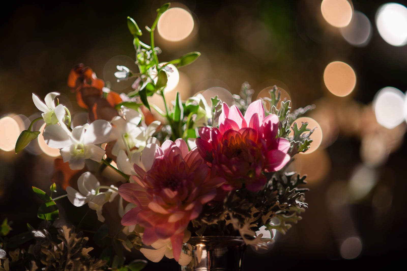 Daniela Picoral Fotografia