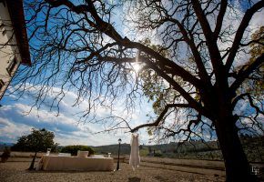 Casamento Giulia & Leo