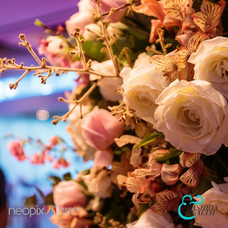 ambienta-anna-moreira