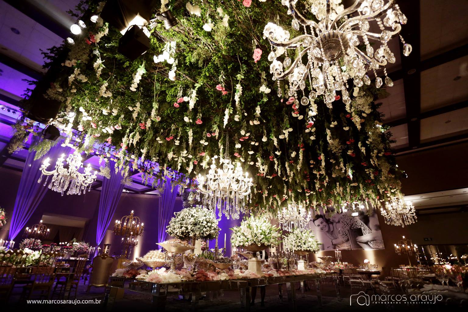 11952683_421999157999278_1279504527028084319_o