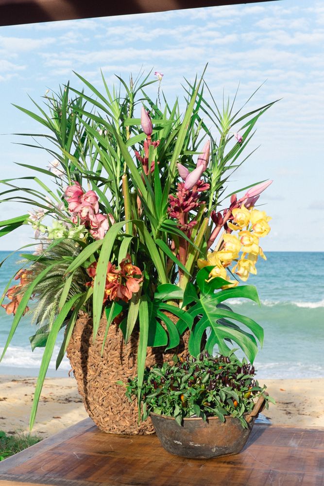 Ana e JP Trancoso-48