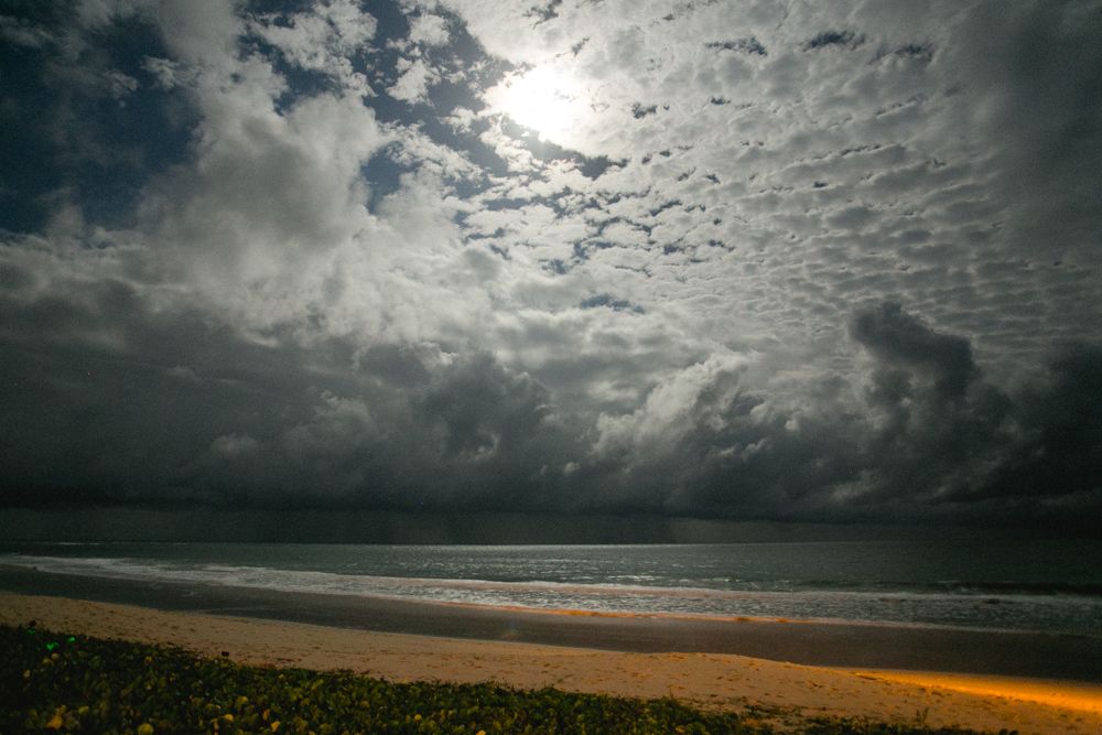 Ana e JP Trancoso-90