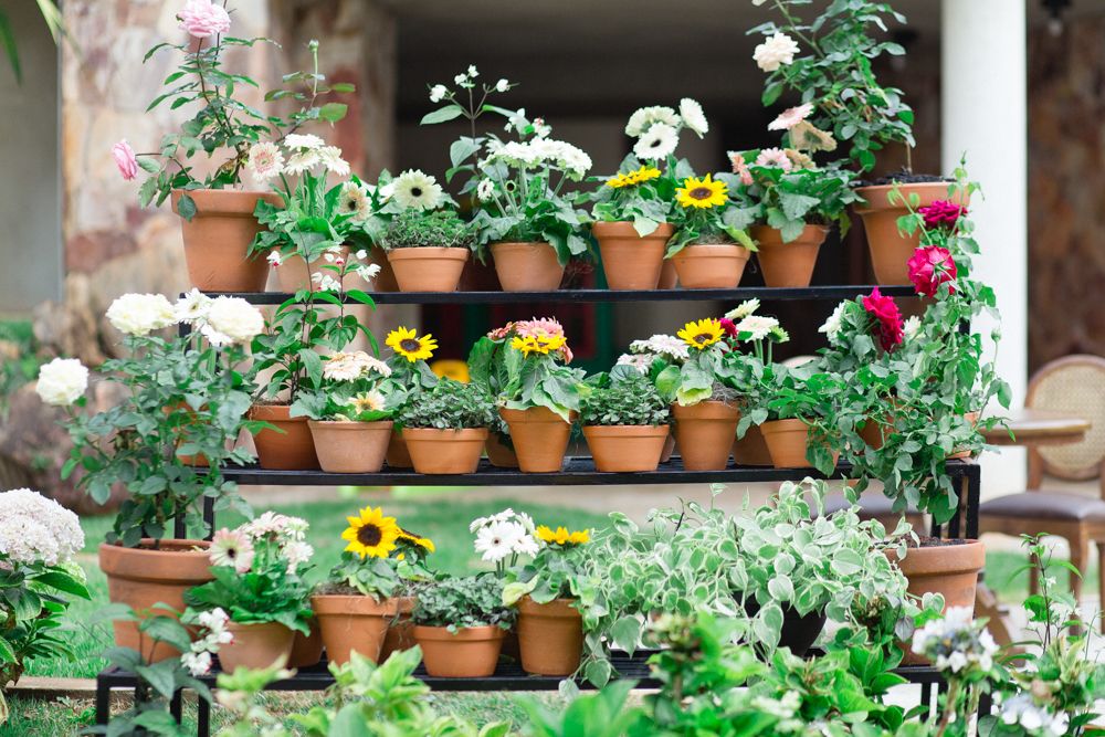 casamento brasilia-16