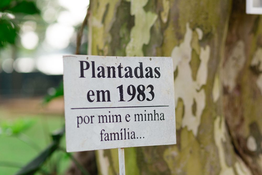 casamento brasilia-7