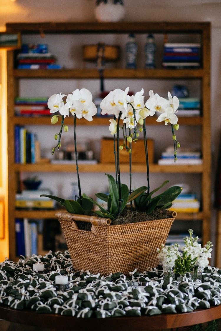 Patricia e Nelson (28)