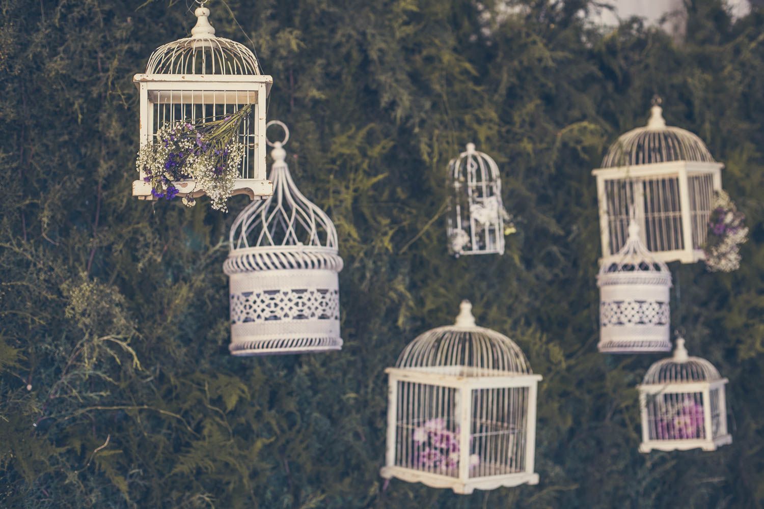 Renata e Felipe 00576