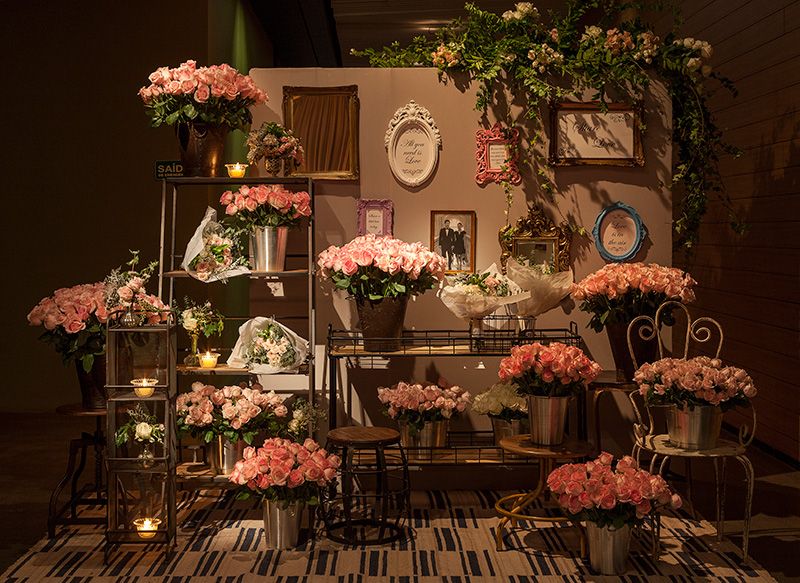 IMG_9858_Julia_Ribeiro