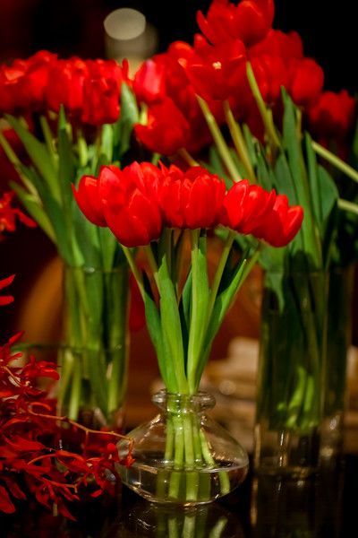 priscila-e-ricardo_0748-l